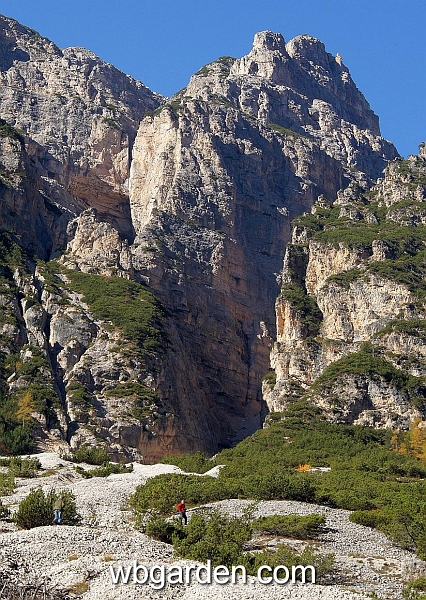 wbgarden alps 36.JPG
